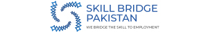 skillbridgepakistan.com