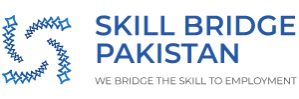 Skillbridgepakistan-logo